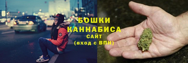 индика Вязники