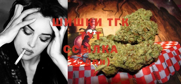 индика Вязники