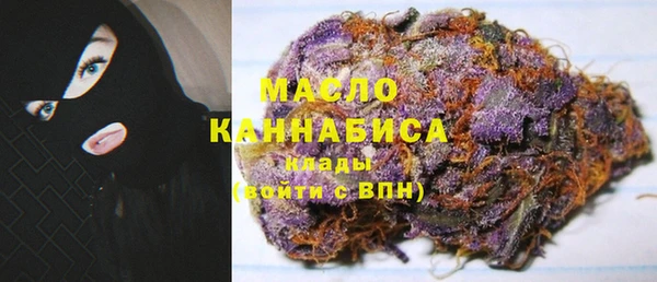 индика Вязники
