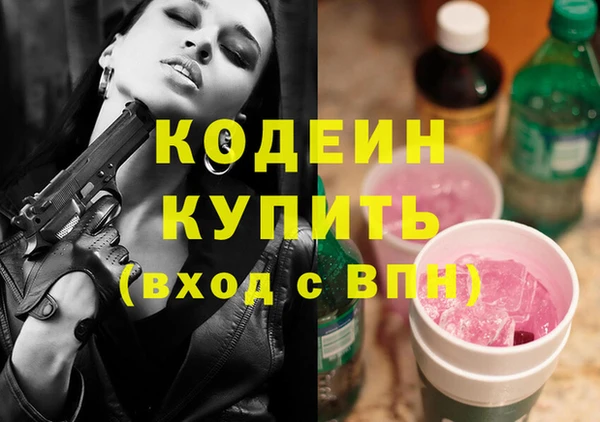 индика Вязники