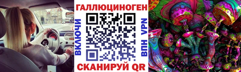 Псилоцибиновые грибы Cubensis  Купить закладки  Тайга 